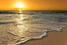 picture of a beach