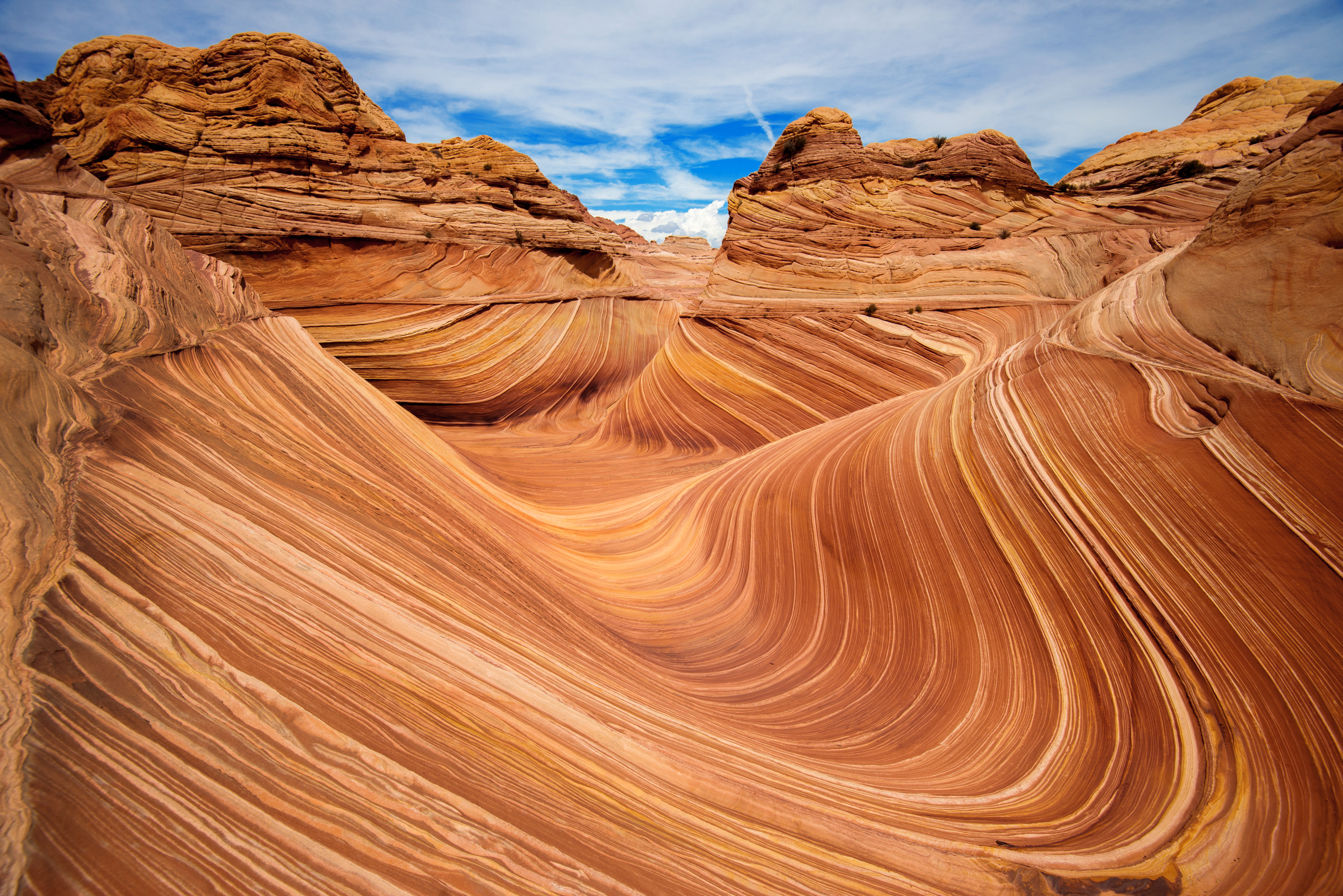 A photo of 'The Wave' rock formation in Arizona, USA.
