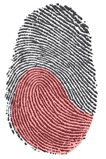 Close up dwaring of a fingerprint. The bottom half is red and top half is black.