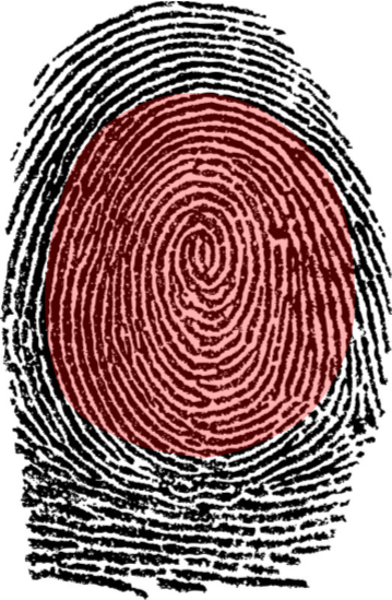 Close up dwaring of a fingerprint. The bottom half is red and top half is black.